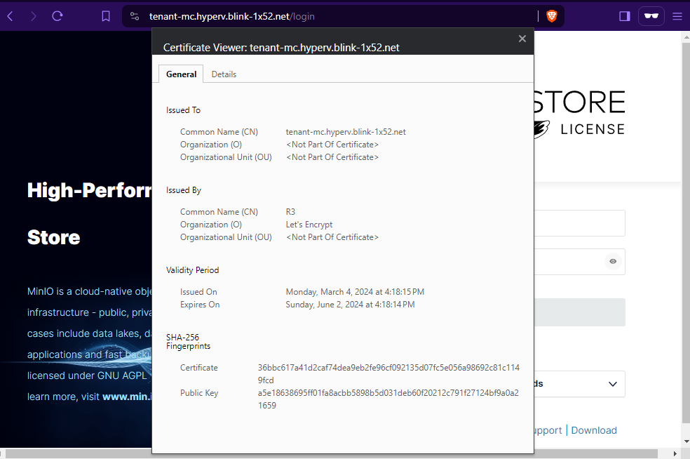 minio-console-https-access